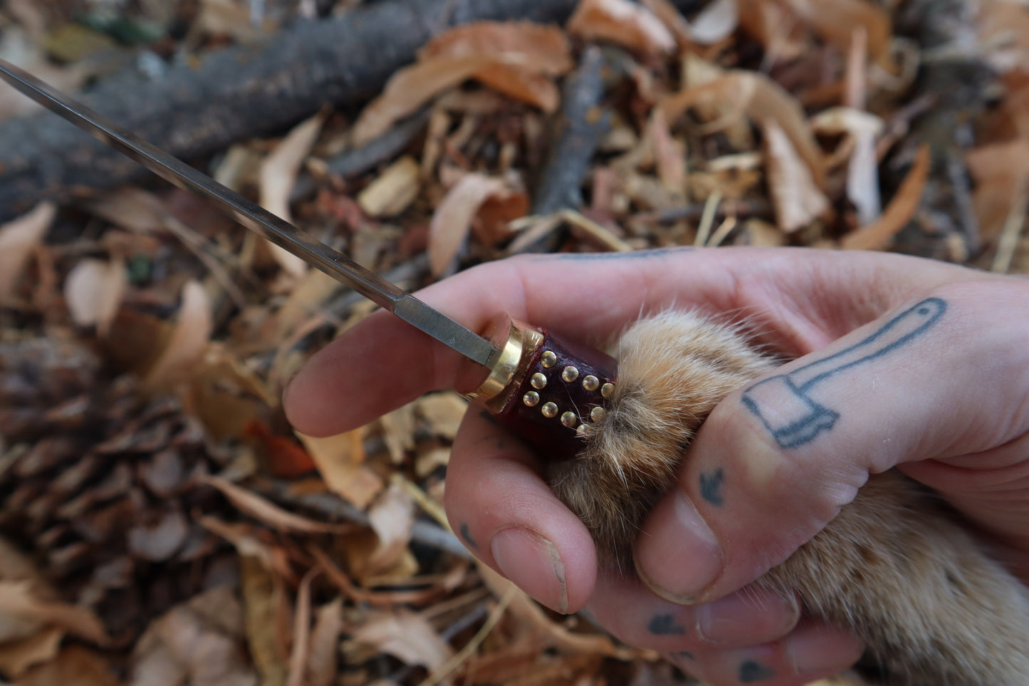 Bobcat Paw Knife