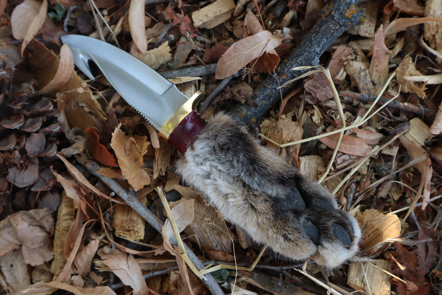 Bobcat Paw Knife