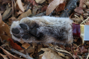 Bobcat Paw Knife