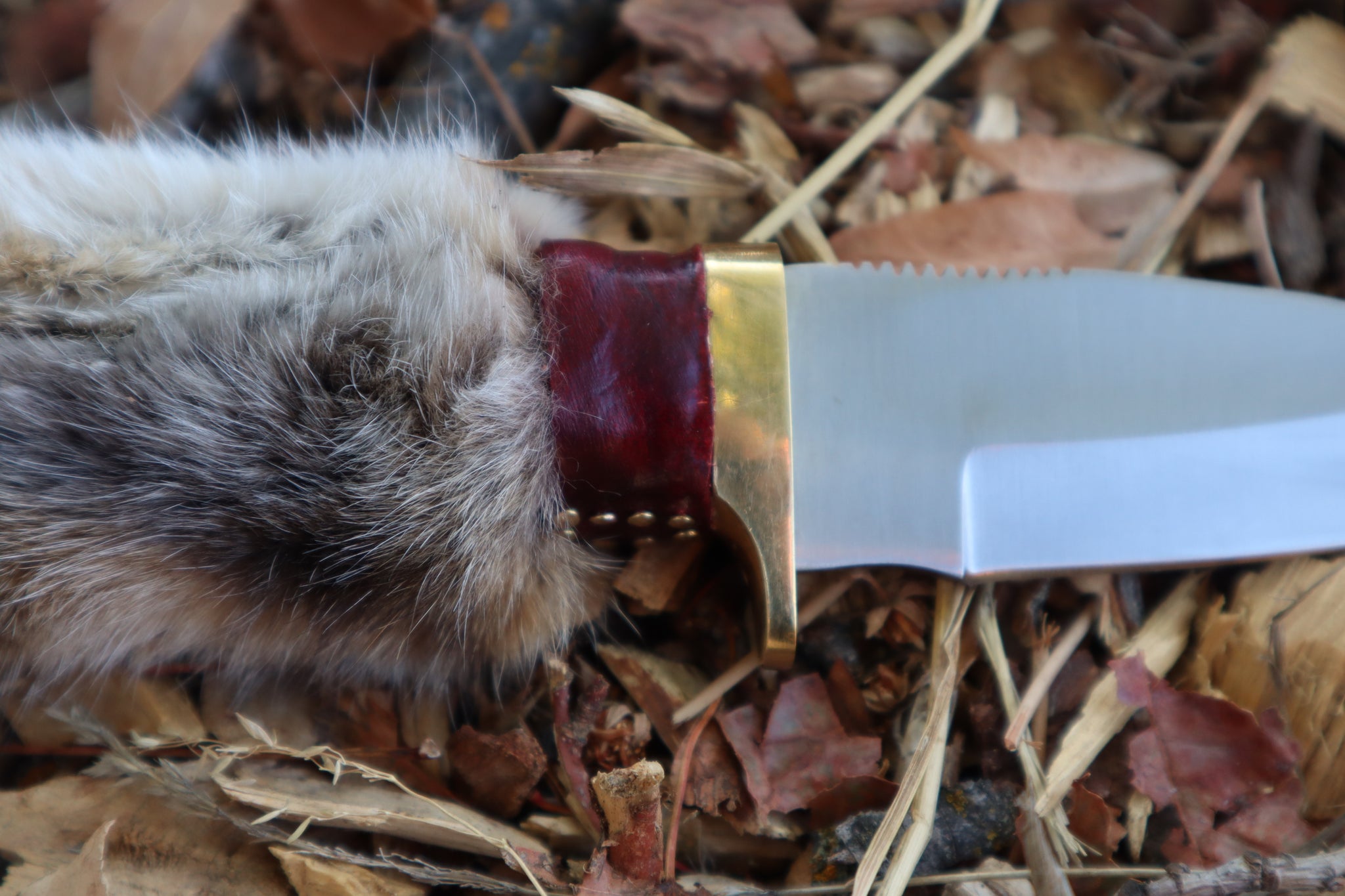 Bobcat Paw Knife