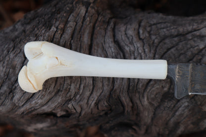 Damascus Whitetail Fawn Femur Athame