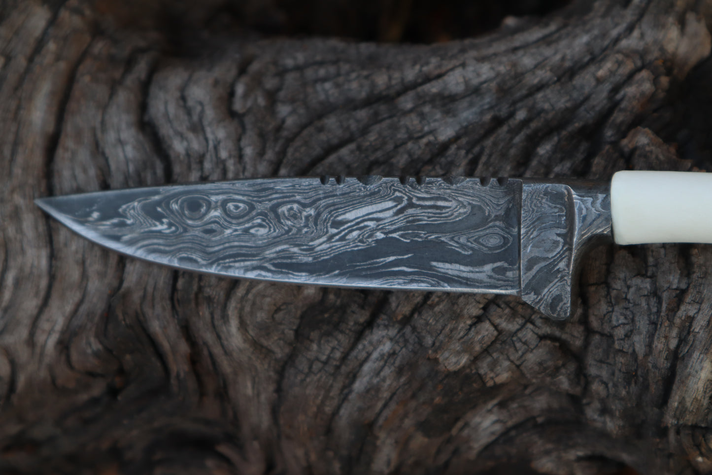 Damascus Whitetail Fawn Femur Athame