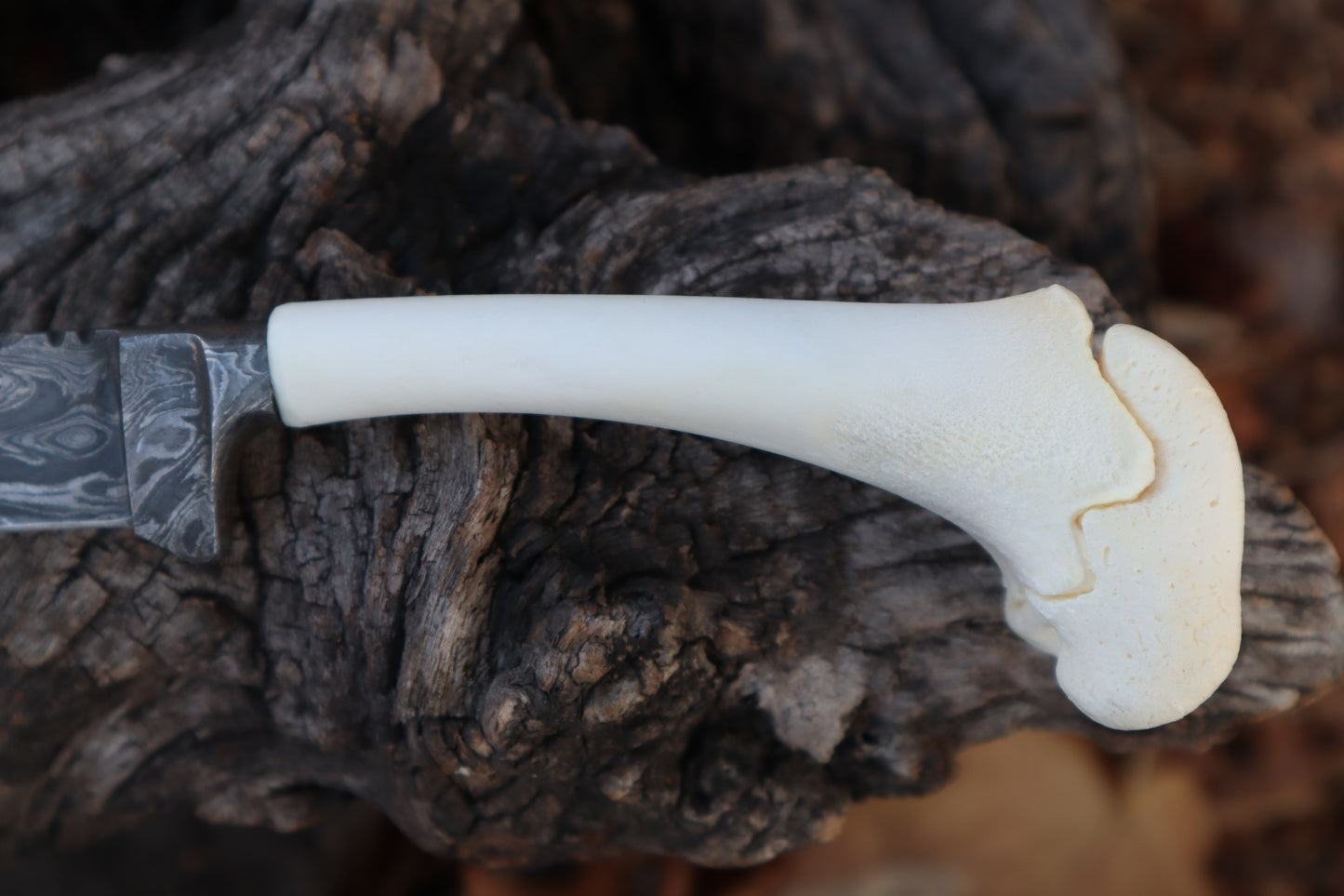 Damascus Whitetail Fawn Femur Athame