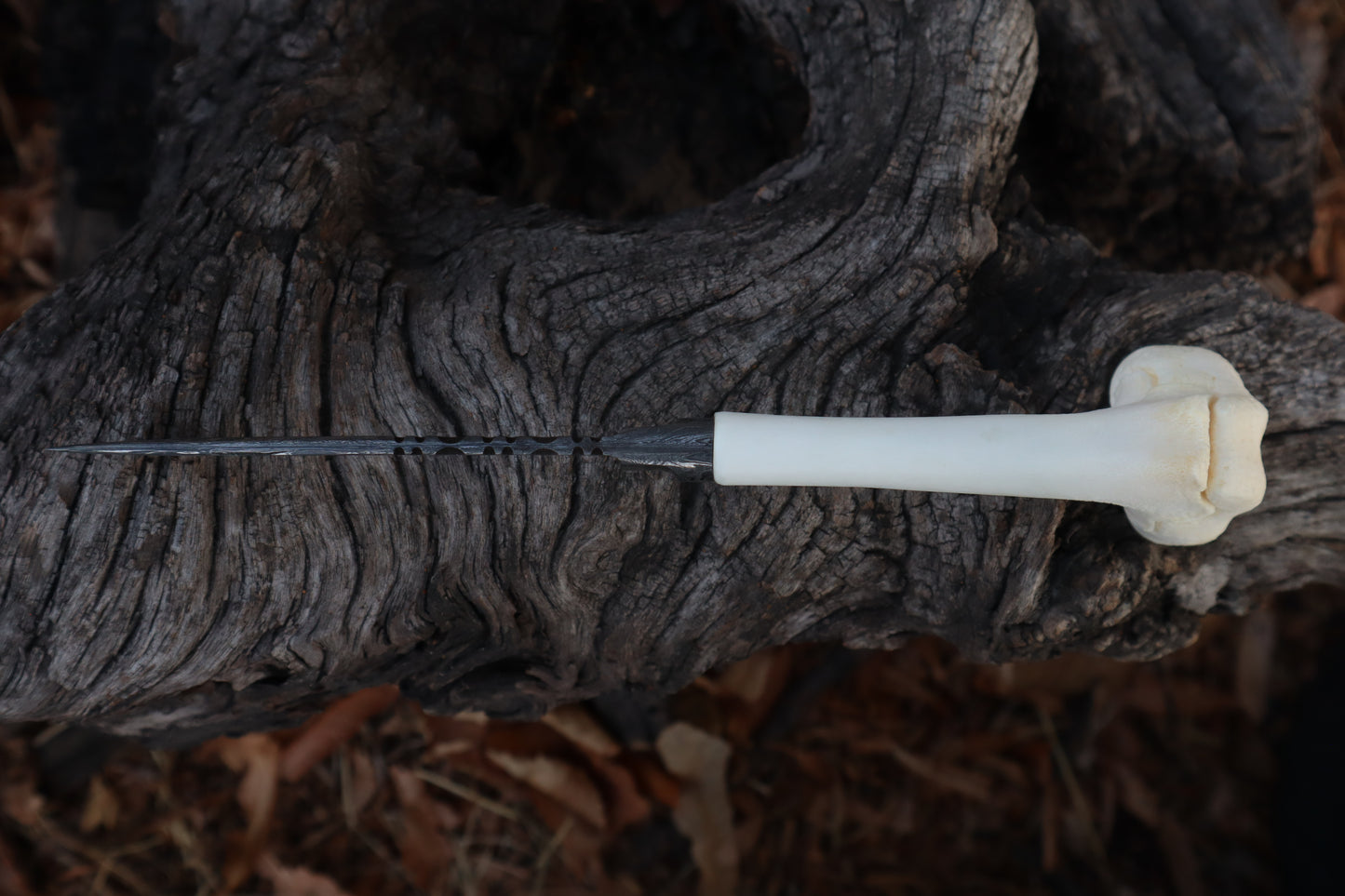 Damascus Whitetail Fawn Femur Athame