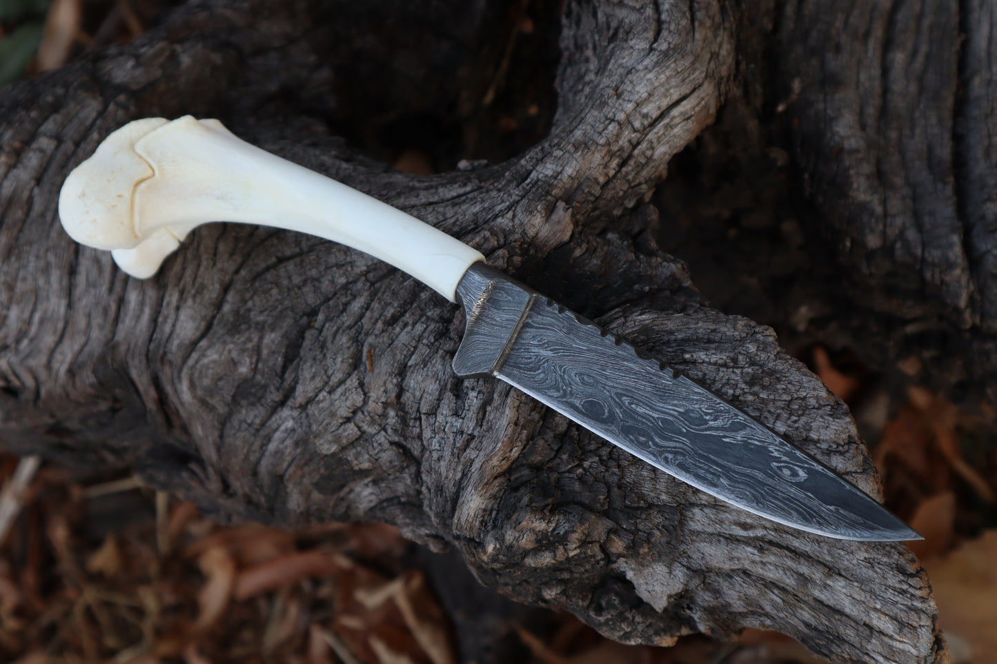 Damascus Whitetail Fawn Femur Athame