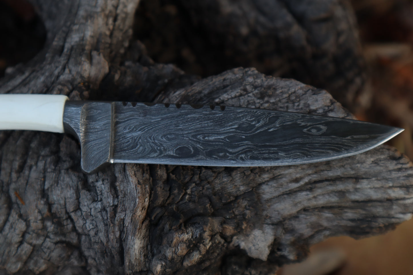 Damascus Whitetail Fawn Femur Athame
