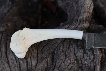 Damascus Whitetail Fawn Femur Athame