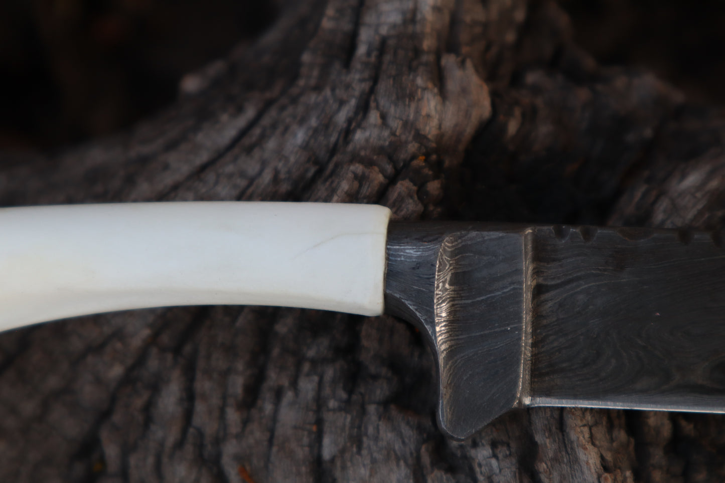 Damascus Whitetail Fawn Femur Athame