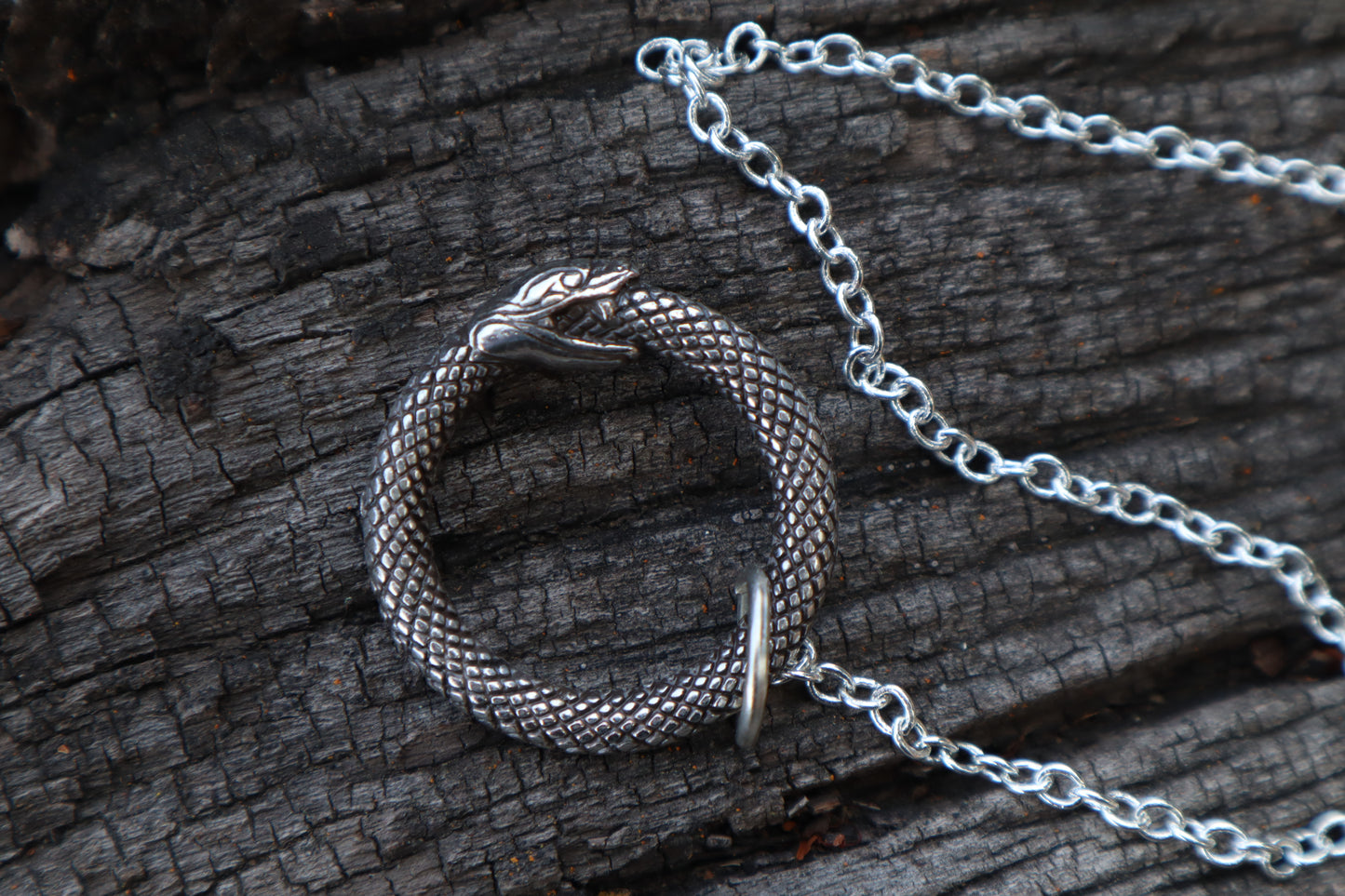 Domestic Cat Femur Pendulum with Ouroboros Ring