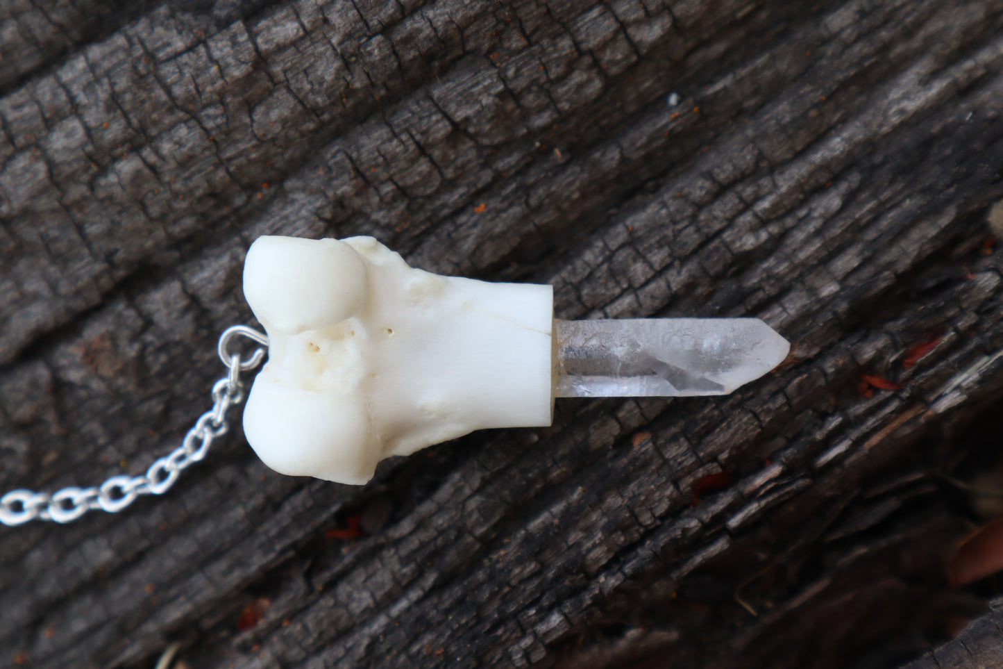 Domestic Cat Femur Pendulum with Ouroboros Ring
