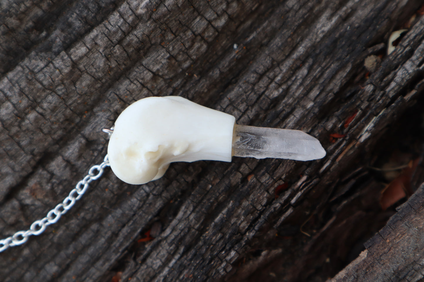 Domestic Cat Femur Pendulum with Ouroboros Ring