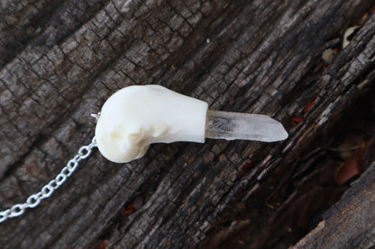 Domestic Cat Femur Pendulum with Ouroboros Ring