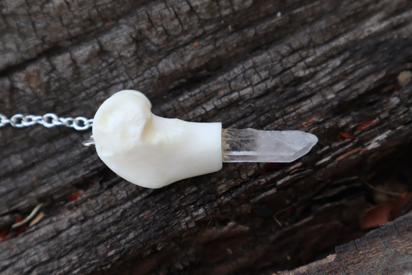 Domestic Cat Femur Pendulum with Ouroboros Ring