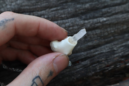 Domestic Cat Femur Pendulum with Ouroboros Ring