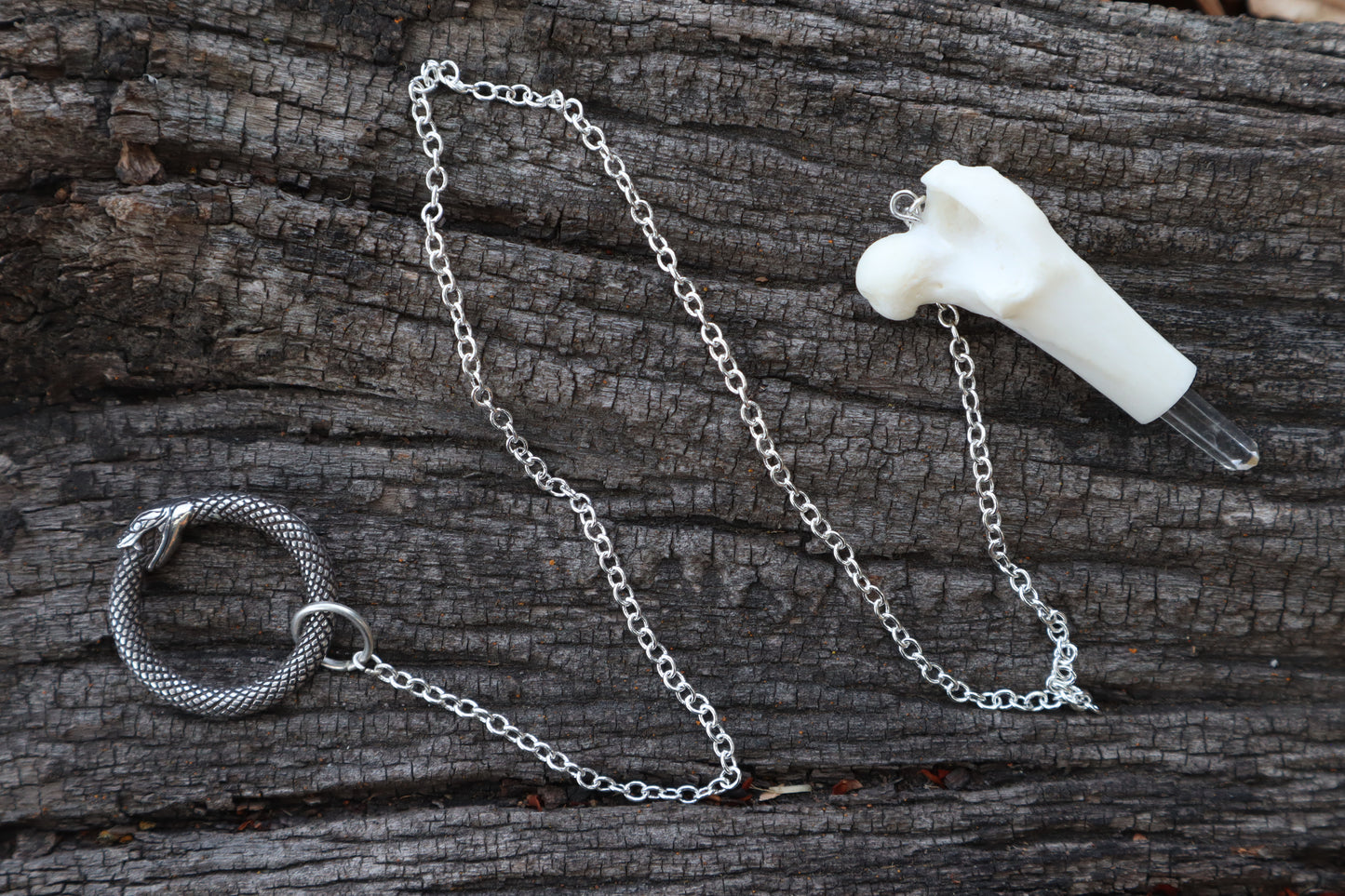 Domestic Cat Femur Pendulum with Ouroboros Ring