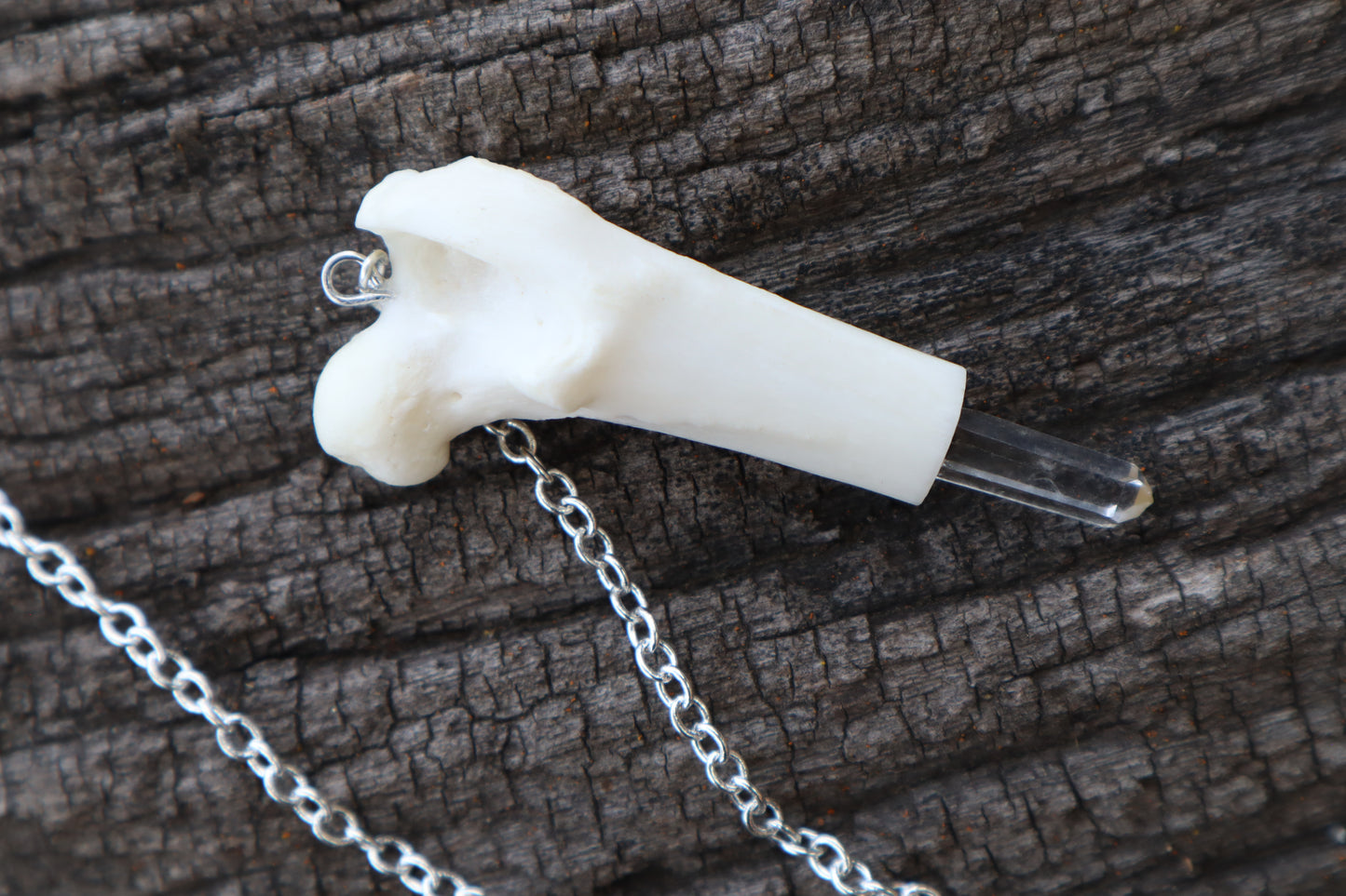Domestic Cat Femur Pendulum with Ouroboros Ring