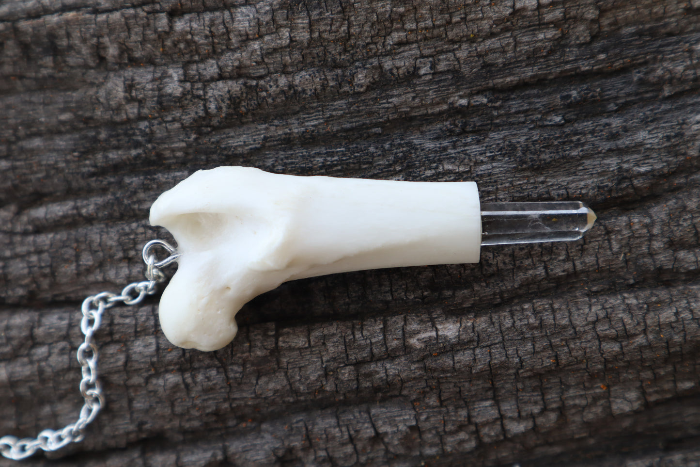 Domestic Cat Femur Pendulum with Ouroboros Ring