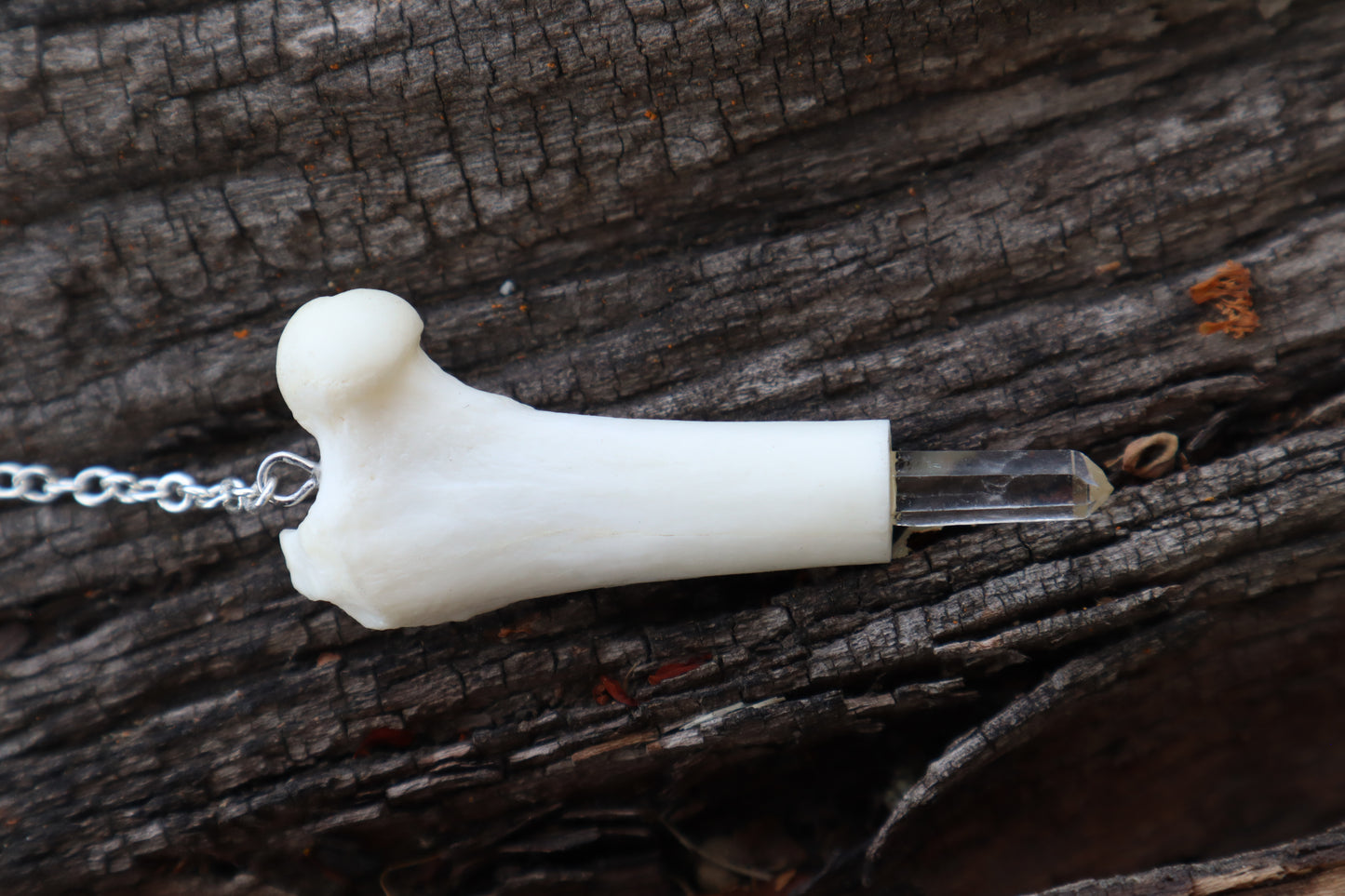 Domestic Cat Femur Pendulum with Ouroboros Ring