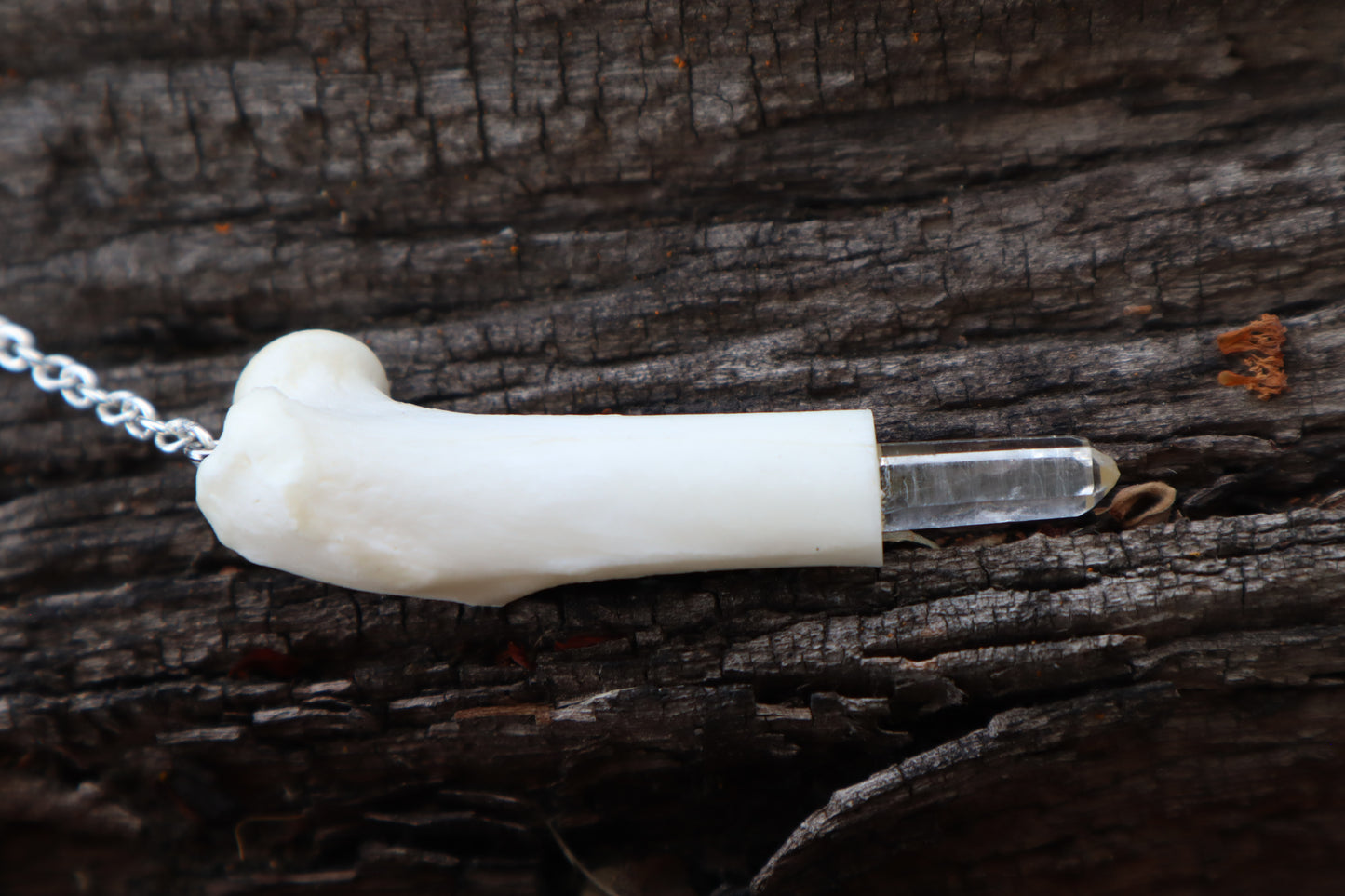 Domestic Cat Femur Pendulum with Ouroboros Ring
