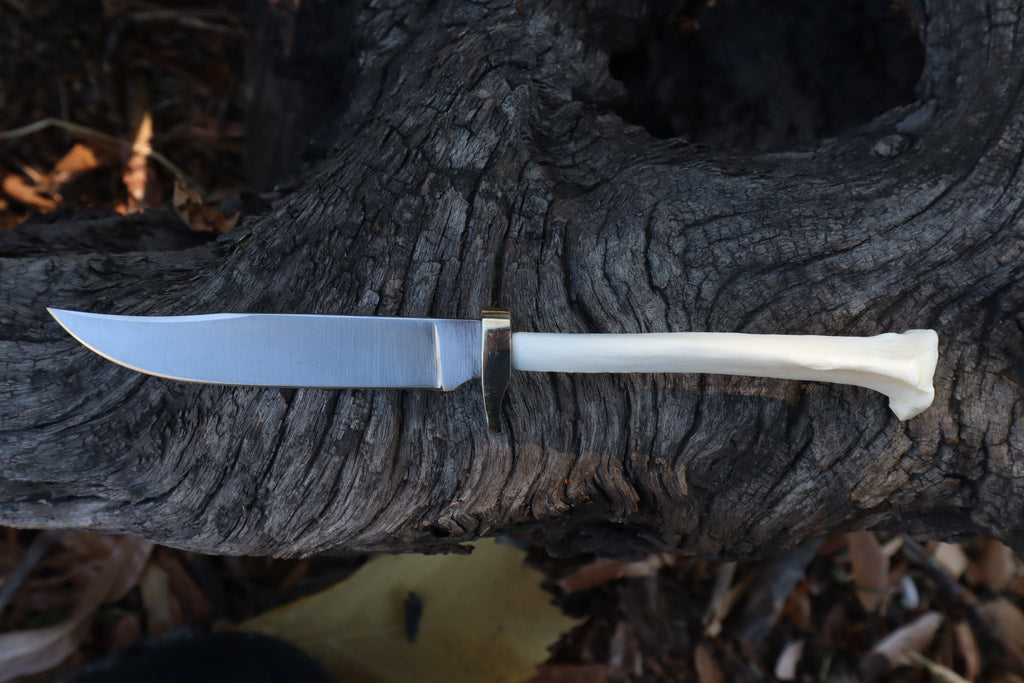 Domestic Cat Tibia Athame