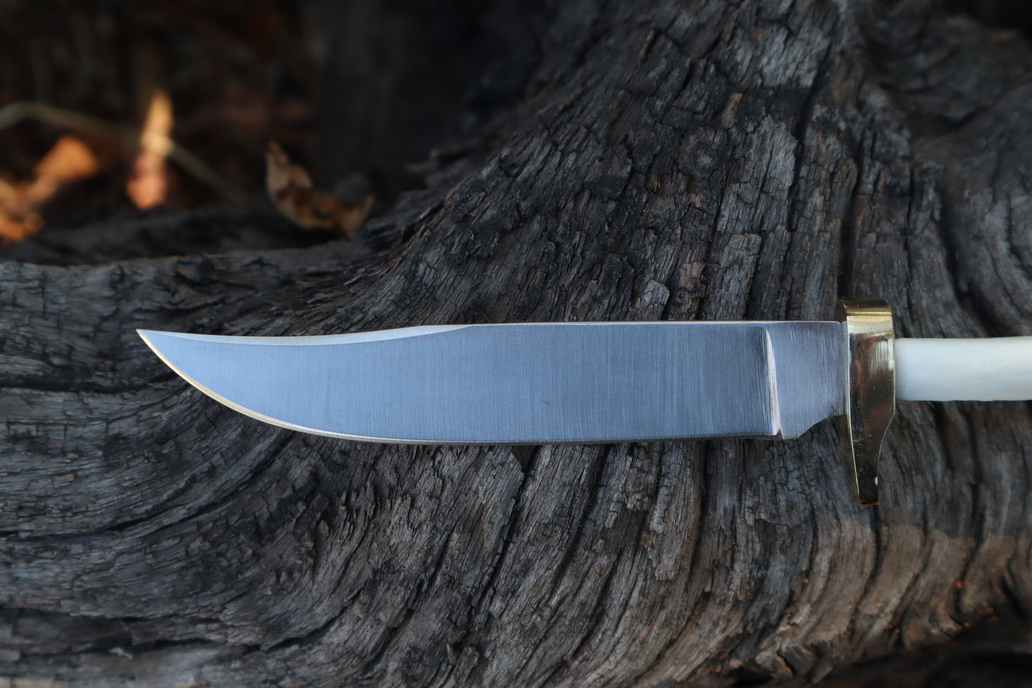 Domestic Cat Tibia Athame