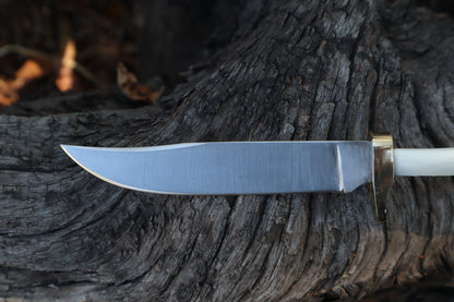 Domestic Cat Tibia Athame