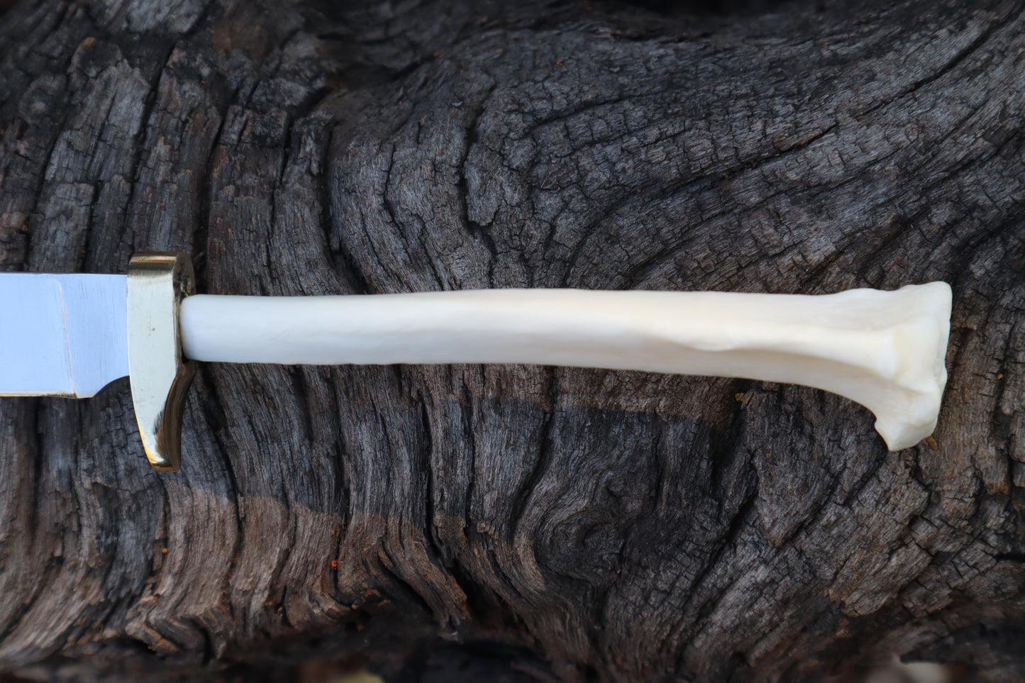 Domestic Cat Tibia Athame