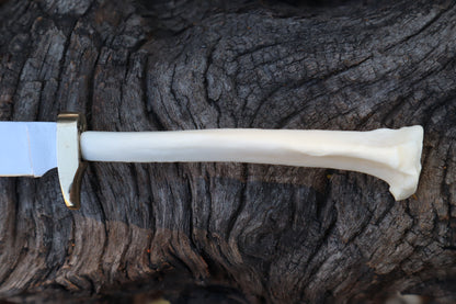 Domestic Cat Tibia Athame