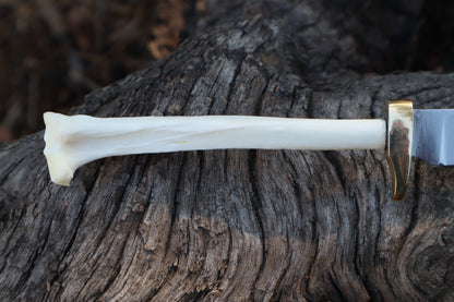 Domestic Cat Tibia Athame