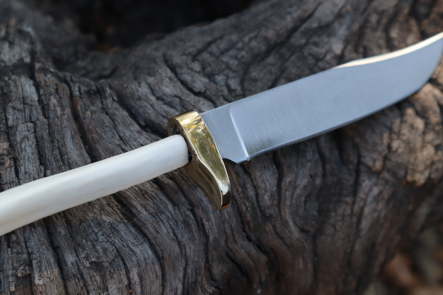 Reserved for Denea - Domestic Cat Tibia Knife