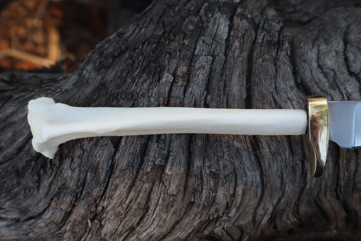 Reserved for Denea - Domestic Cat Tibia Knife