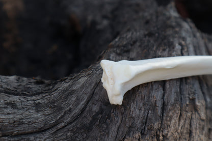 Reserved for Denea - Domestic Cat Tibia Knife