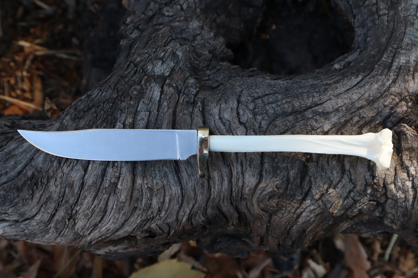 Reserved for Denea - Domestic Cat Tibia Knife