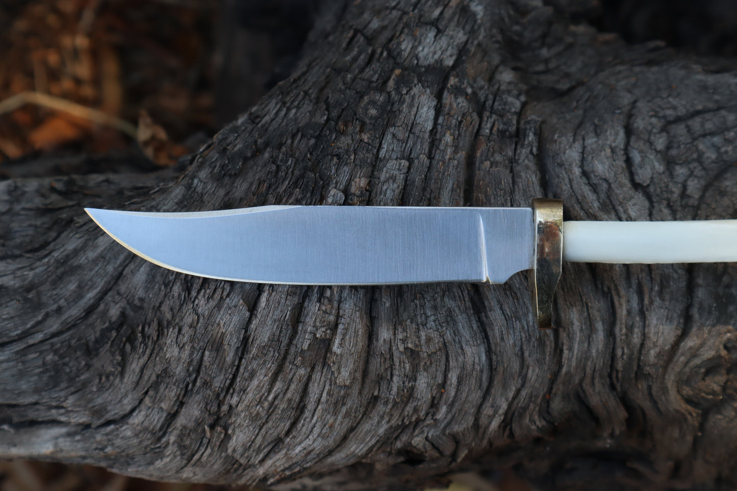 Reserved for Denea - Domestic Cat Tibia Knife