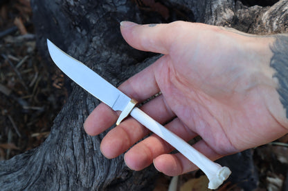 Reserved for Denea - Domestic Cat Tibia Knife