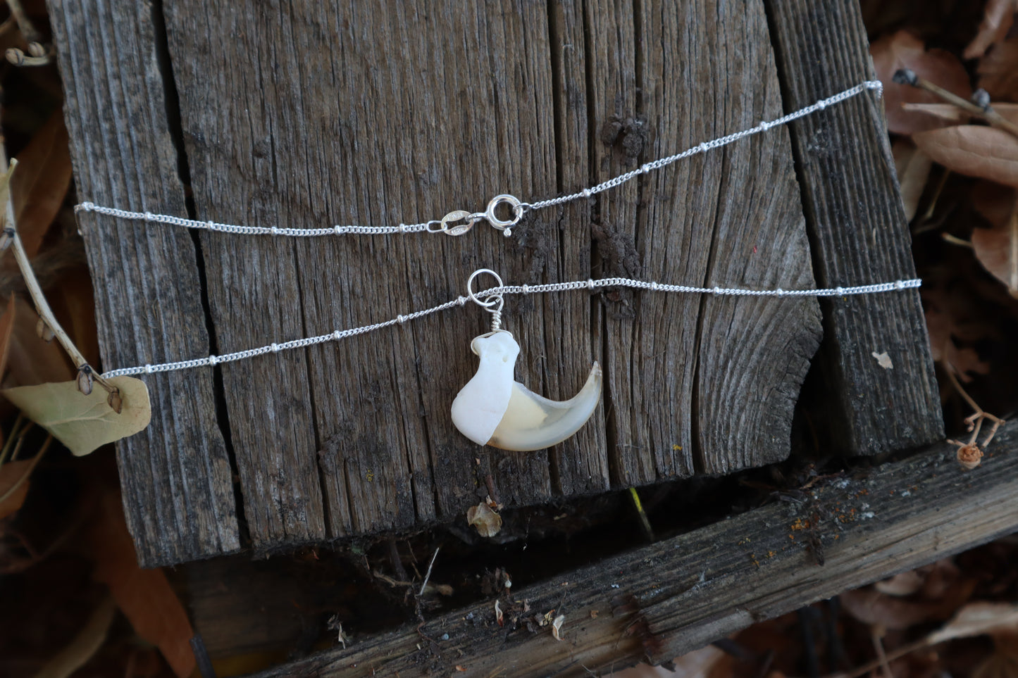 Bobcat Claw Necklace- .925 Silver