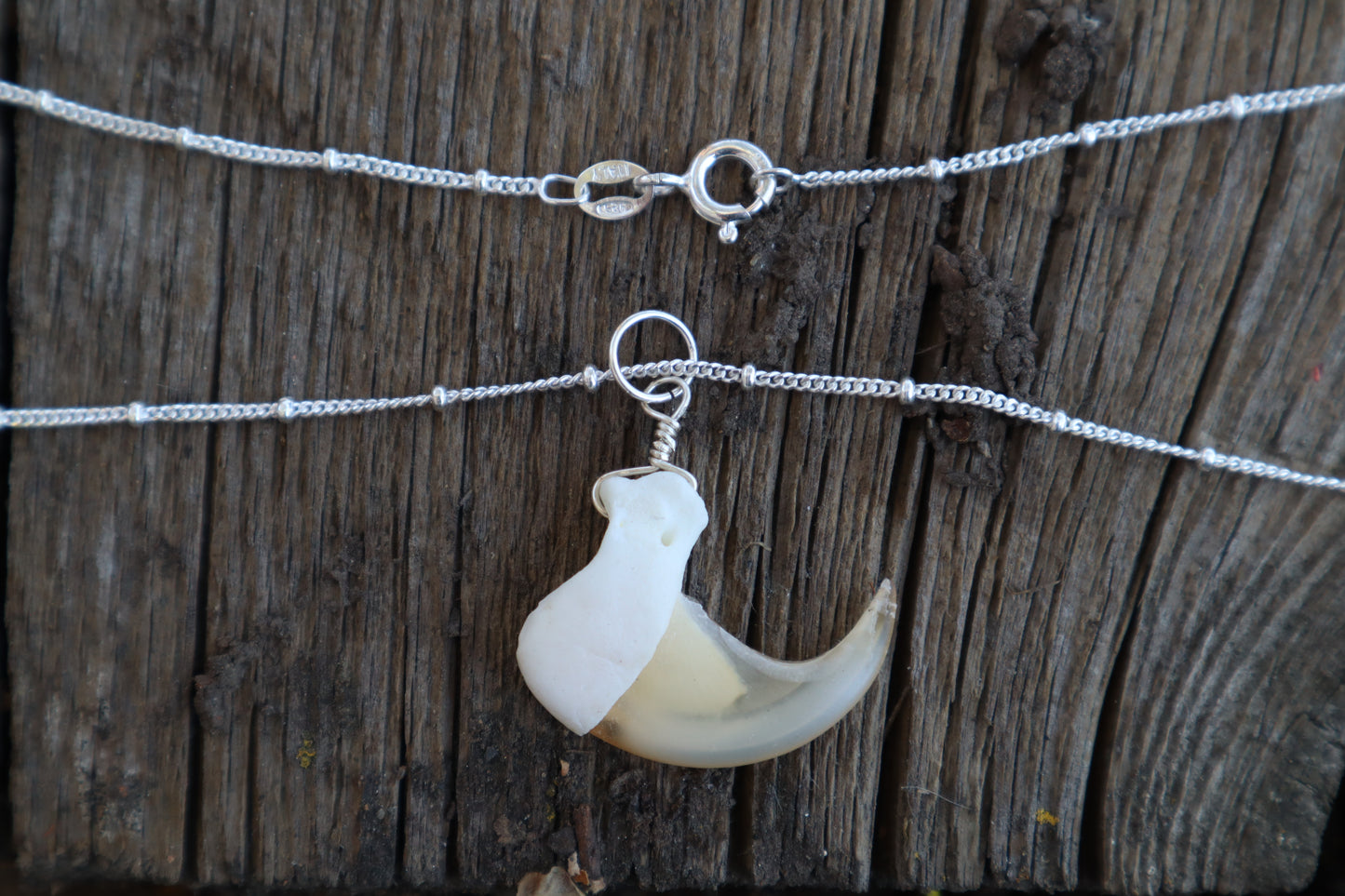 Bobcat Claw Necklace- .925 Silver