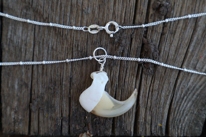 Bobcat Claw Necklace- .925 Silver