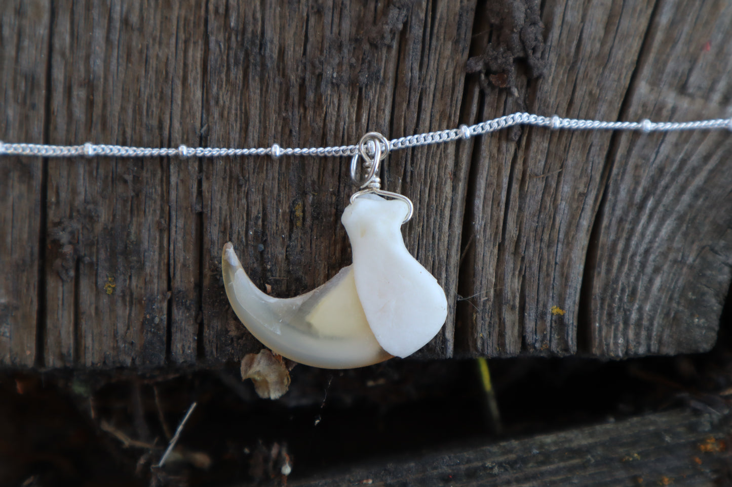 Bobcat Claw Necklace- .925 Silver