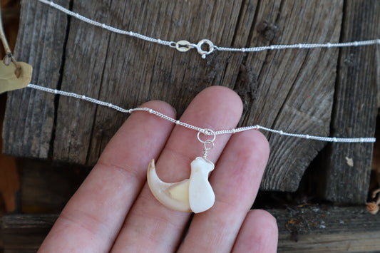 Bobcat Claw Necklace- .925 Silver