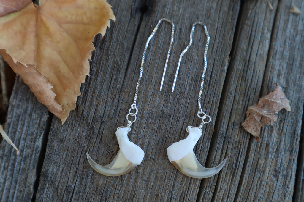Bobcat Claw Earrings - .925 Silver