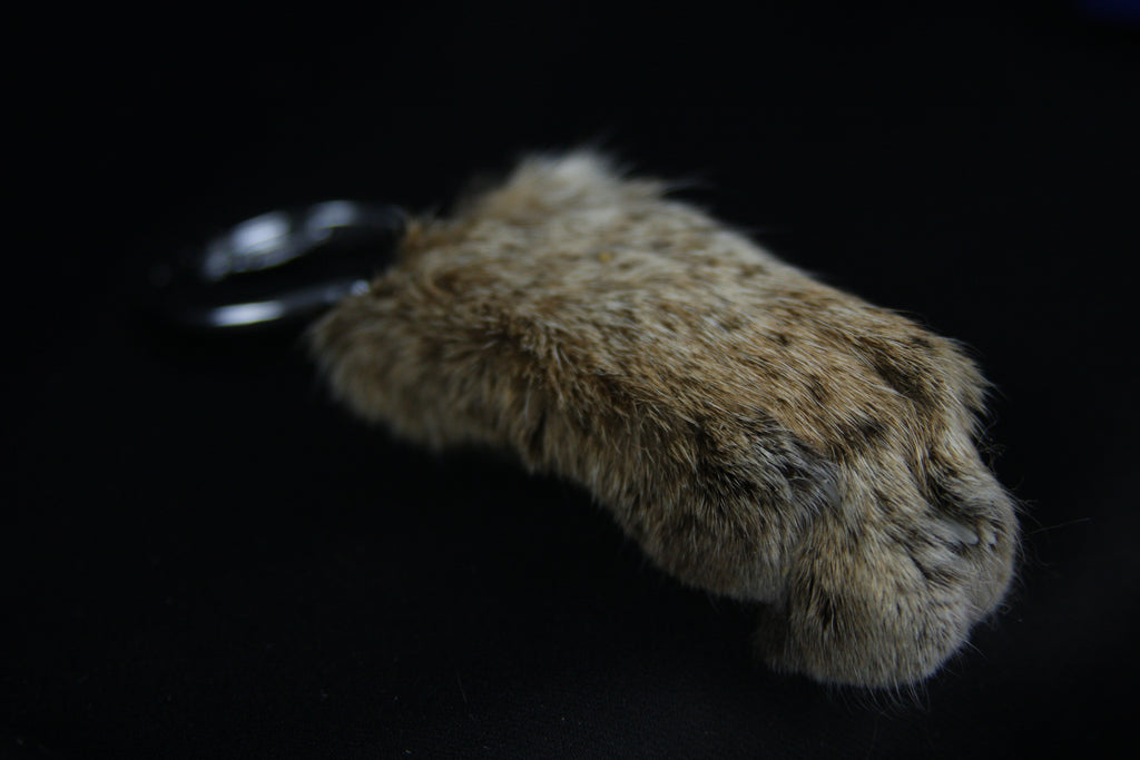 Bobcat Paw Bottle Opener