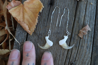 Bobcat Claw Earrings - .925 Silver