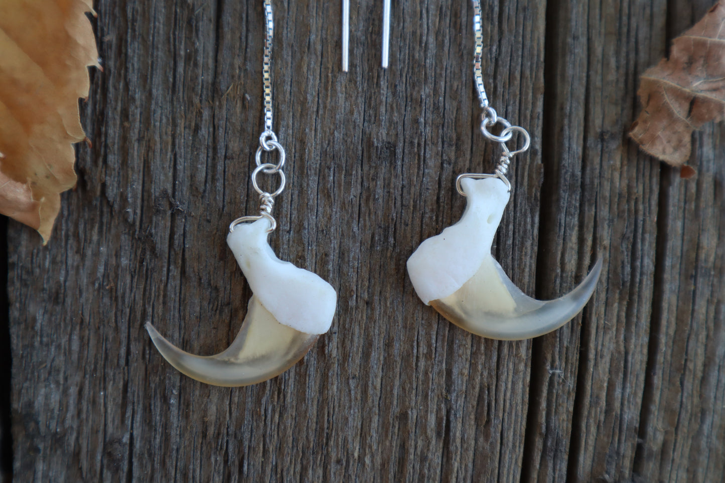 Bobcat Claw Earrings - .925 Silver