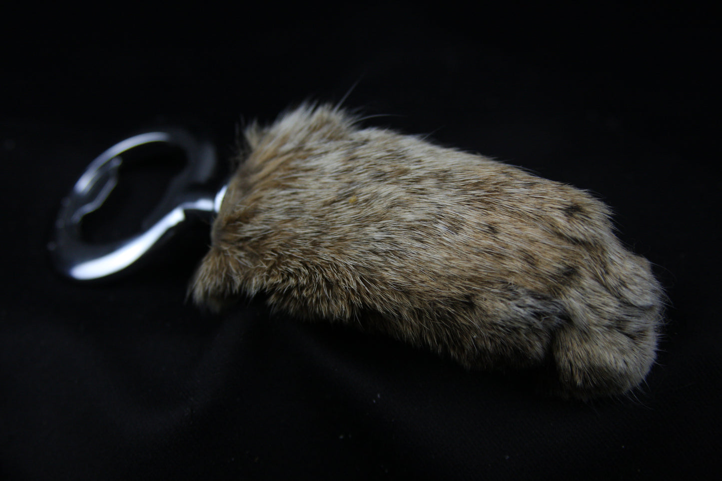 Bobcat Paw Bottle Opener