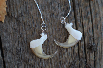 Bobcat Claw Earrings - .925 Silver