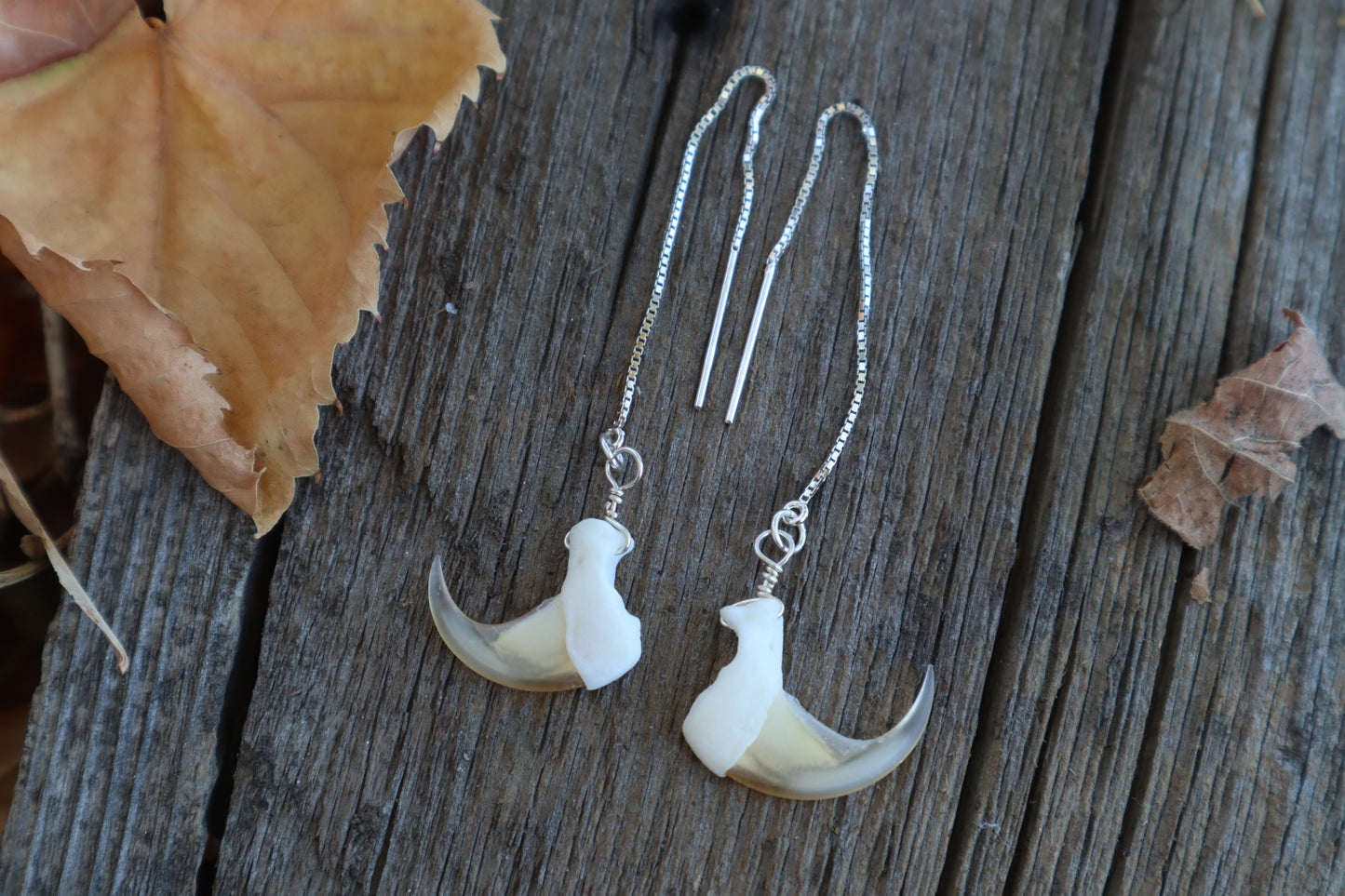 Bobcat Claw Earrings - .925 Silver