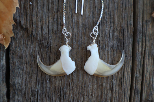 Bobcat Claw Earrings - .925 Silver