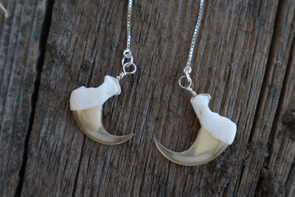 Bobcat Claw Earrings - .925 Silver