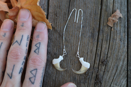 Bobcat Claw Earrings - .925 Silver